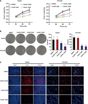 Icaritin-Induced FAM99A Affects GLUT1-Mediated Glycolysis via Regulating the JAK2/STAT3 Pathway in Hepatocellular Carcinoma